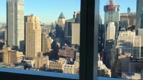 Small white dog on white couch looking at city view