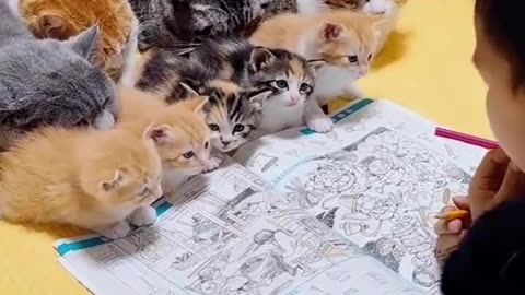 Meet the Furry Students Stealing Hearts"