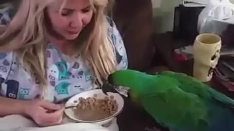 Sharing breakfast with a parrot