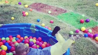 Collab copyright protection - toddler girl ball pit faceplant