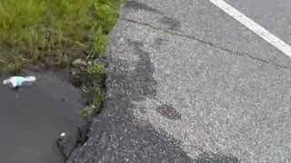 Man Scores Entire Dropped Pallet Of Bottled Water