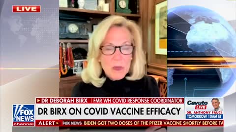 Dr. Birx Finally Admits What We Knew All Along