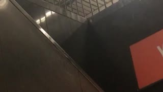 Man sets black crate on rail