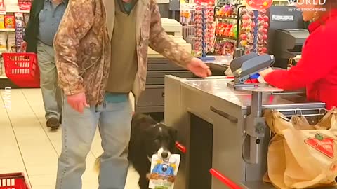 CLEVER DOG PICKS OUT HIS OWN TREATS