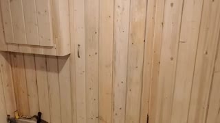 flooring in in the small bathroom and sauna