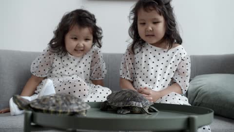 Two Little Girls Do It Turtle Style