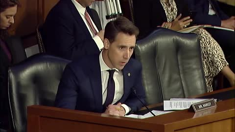 Josh Hawley GOES OFF On FBI For Bullying Those Who Conceal Carry