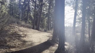 Hiking Along the Wild Deschutes River Trail – Central Oregon – 4K