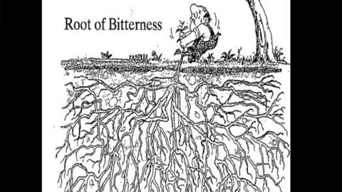NFBC Sunday - Root of Bitterness, Part 1