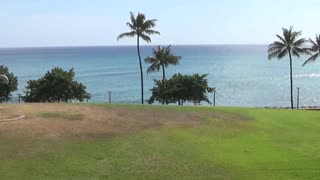 Honolulu, HI — Kaka'ako Waterfront Park #1