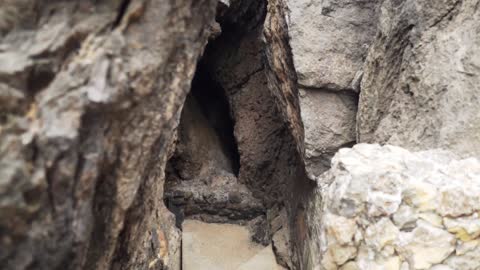 Walking through a narrow rocky path