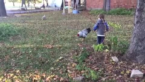 TRY NOT TO LAUGH- MOST Crazy Chicken Trolling Babies and Kids_ Funny Babies and
