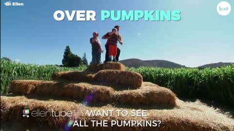 Have We Hit Peak Pumpkin?