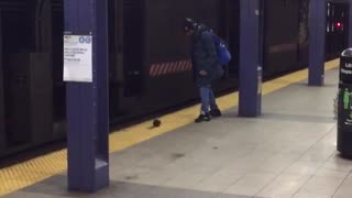 Man almost kicks subway rat