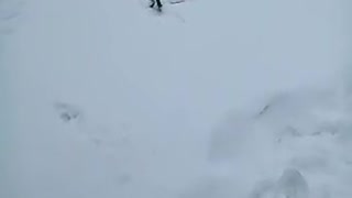 Snake on Snow