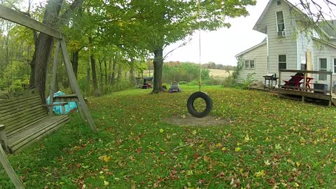 Late Summer Tire Swing