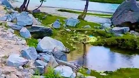 NATURE BEAUTIFUL SHORT VIDEO CLIP HD