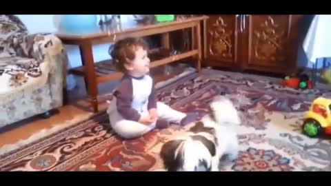 Funny Babies and Animals video the best