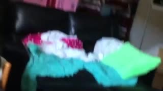 Girl opens box to show that her ferret got stuck behind it