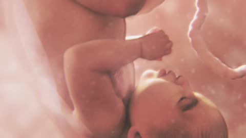 This Look Inside The Womb Could CHANGE MINDS On Abortion | WATCH