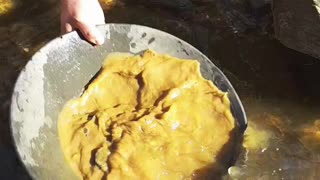 Gold Prospecting