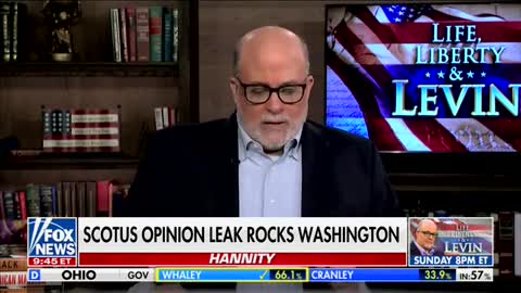 'It's Not A Salami Sandwich': Mark Levin Yells At Liberals During Rant About Abortion