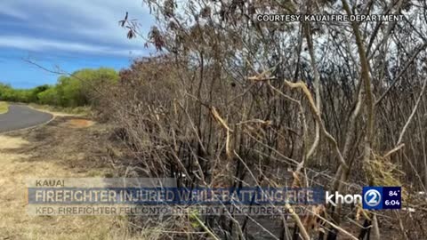 Kauai firefighter impaled by haole koa tree