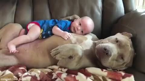 Child sleeps with puppy