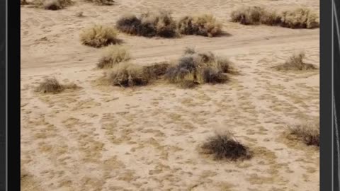 La gran oportunidad de invertir en este terreno: ¡Empieza a construir tu futuro ahora mismo!