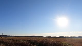 Today’s beautiful sunrise 11/28/2020