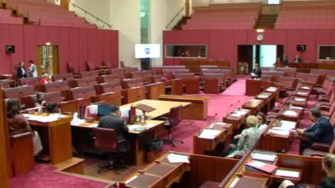 Hanson causes uproar in Senate, Rorting in Indigenous Industry needs to end