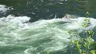 What those kayakers in Leavenworth encountered downstream