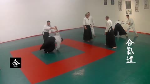 Aikido- Ushiro Riote Dori Nikkio- Chudan zuki ikkyo-kaiten Nage