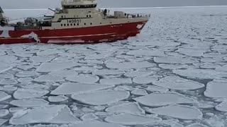 Crazy video off the coast of Labrador reveals a frozen ocean