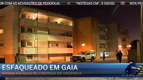 Homem esfaqueia idoso numa rua em Gaia