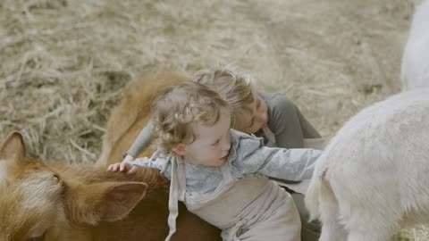 Unlikely Friends Embrace at Animal Sanctuary