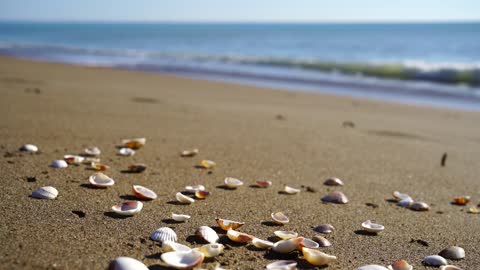 Beach Morning View In Marine Beach Landscape