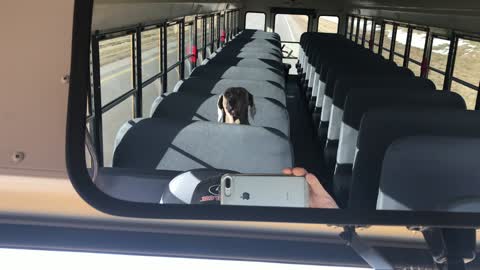 Lucy Lou rides the school bus.