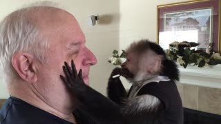 Mikey the Monkey Sneezes