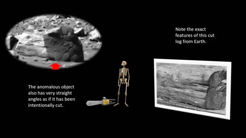 Are Lumberjacks on Mars? Mars Rover Finds Log on the Surface of Mars?