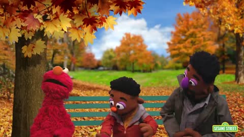 WARNING: New Sesame Street Muppets Brainwash Infants and Toddlers about Racism