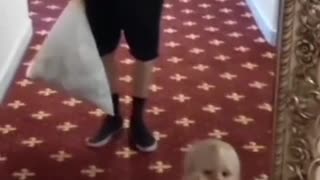 Babies can see them