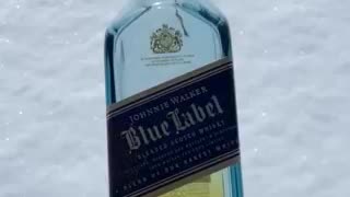 Blue Label & Snow