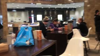 Cockroaches at the Food Court