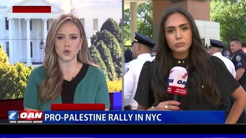 Pro-Palestine Rally In NYC