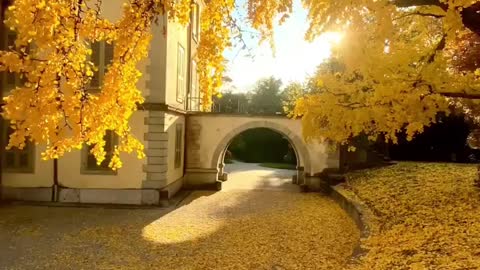 Beautiful autumn colors in Lausanne.