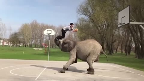 🐘 Elephant 2 Handed Dunk 🐘