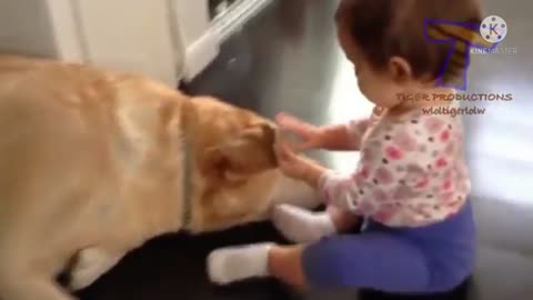 Cute baby was playing with the patience golden retriever