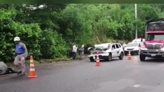 Carro chocó contra un búfalo en Barrancabermeja