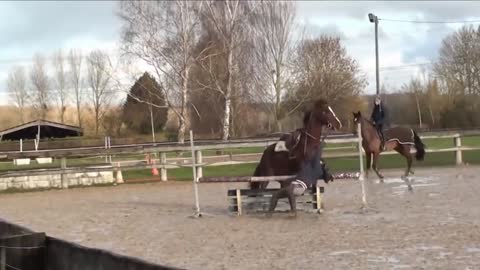 fun horse bloopers to watch